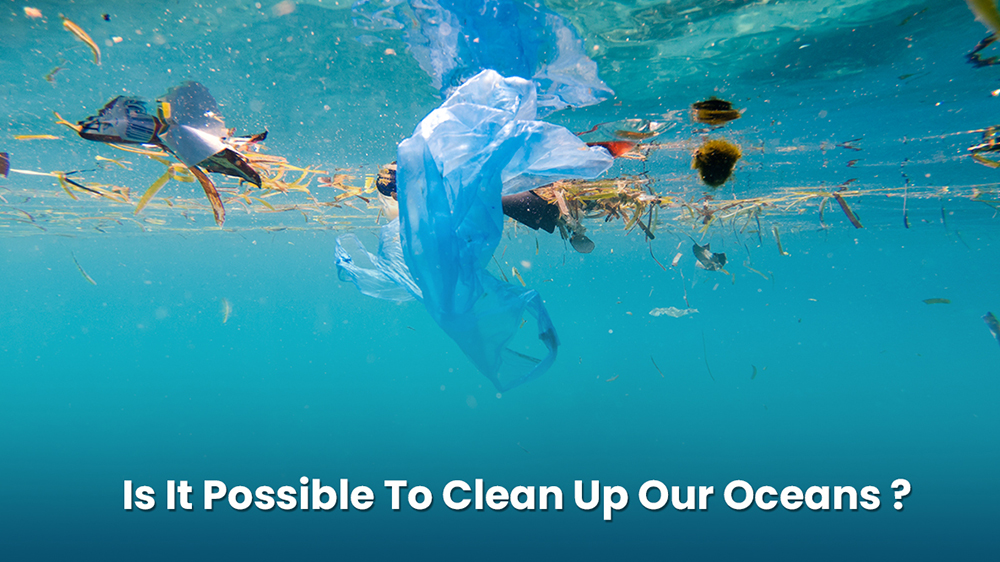 Is It Possible to clean up our Oceans