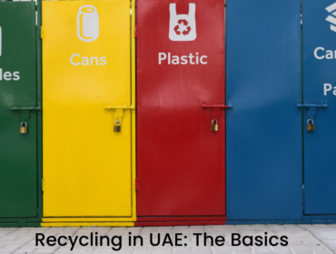 Recycling In Uae