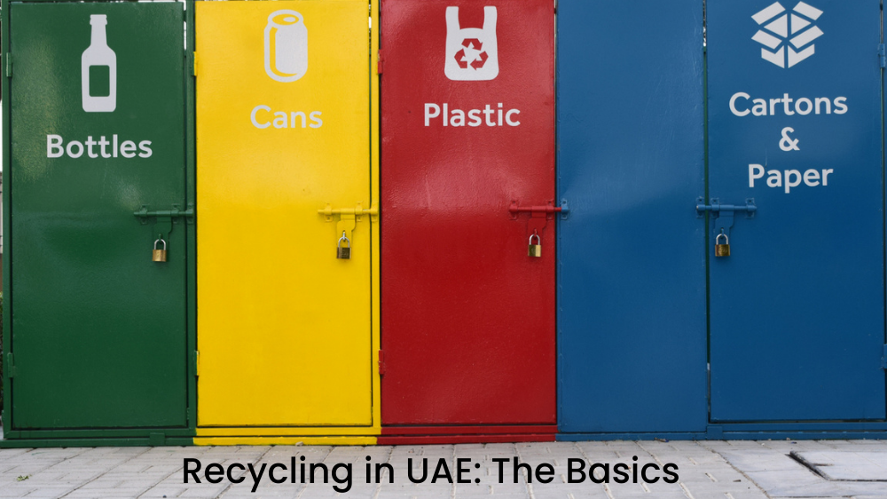 Recycling In UAE: The Basics