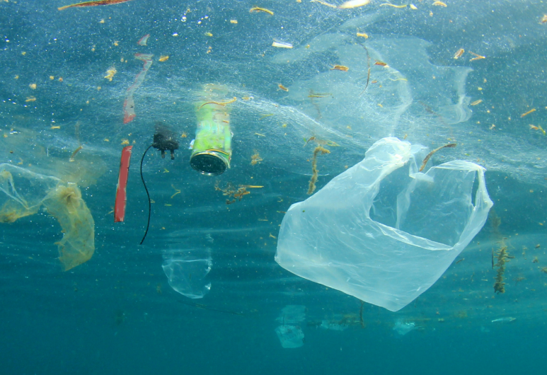Shocking Ocean Plastic Statistics: A Threat to Marine life, Ocean & Humanity